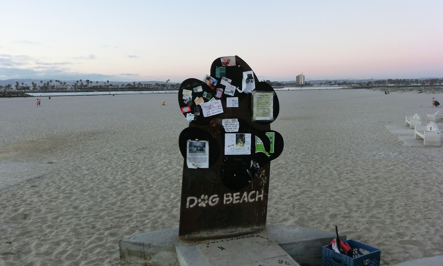 本場San DiegoのDOG BEACH
